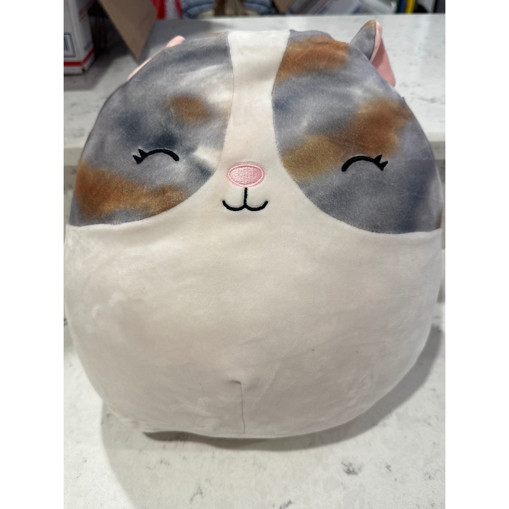 Squishmallows Plush Stuffed Animal Pillow Toy 12 Inch Hamster